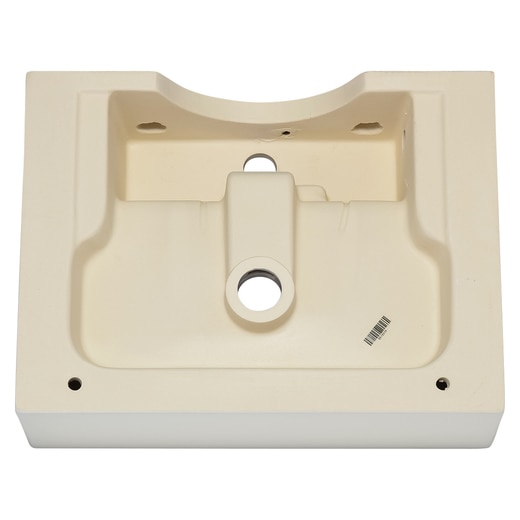 真裏から見た様子