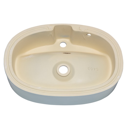 真裏から見た様子