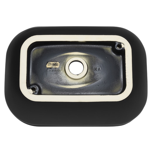 真裏から見た様子