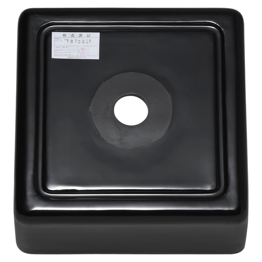 真裏から見た様子