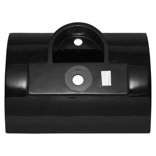 真裏から見た様子