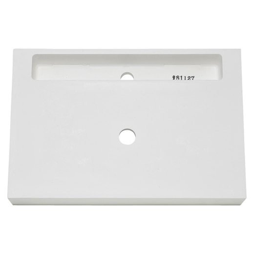 真裏から見た様子