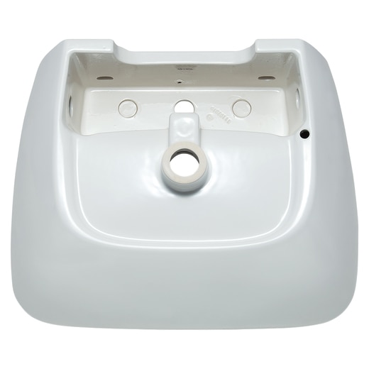 真裏から見た様子