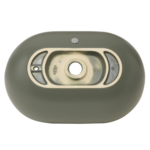 真裏から見た様子