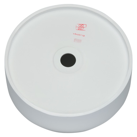 真裏から見た様子