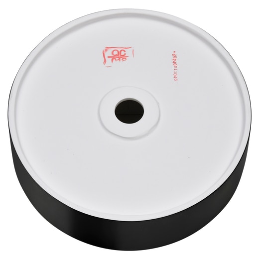 真裏から見た様子