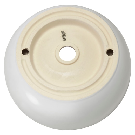 真裏から見た様子