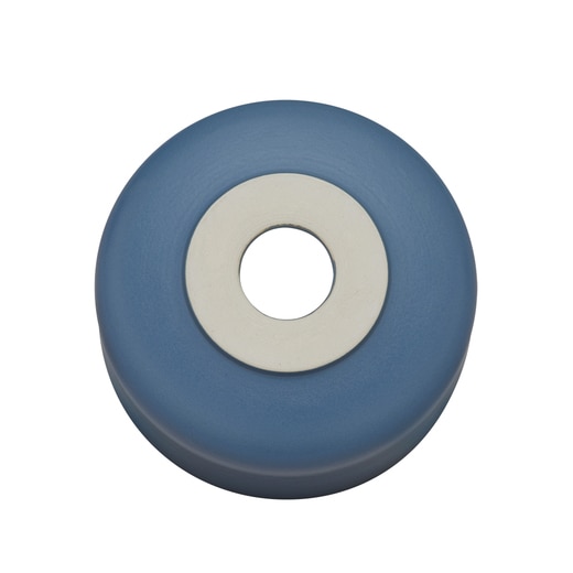 真裏から見た様子