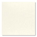 サンプル EZ珪藻土 塗装用ホワイト