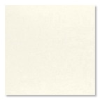 サンプル EZ珪藻土 塗装用ホワイト