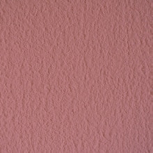 サンプル  オプティマス ローズウッド