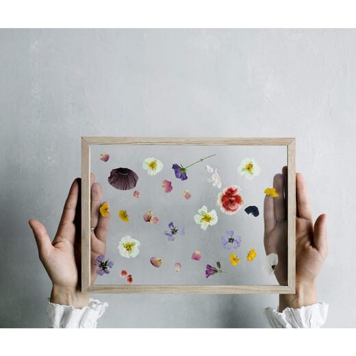 挟んだものが浮いているかのような、軽やかな見せ方ができるのはこのフレームならでは（画像はFRAME A4 オーク）