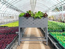 野菜 ベジコンテナの関連アイテム │建材・住宅設備の通販なら