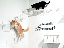 Catroad+（キャットロードプラス）
