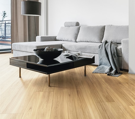 エベーロ・プランク