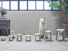 pecolo Food Stand（ペコロ フードスタンド）