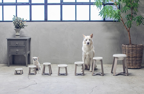 pecolo Food Stand（ペコロ フードスタンド）