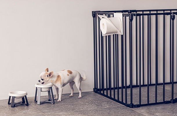 pecolo Paper Holder（ペコロ ペーパーホルダー）