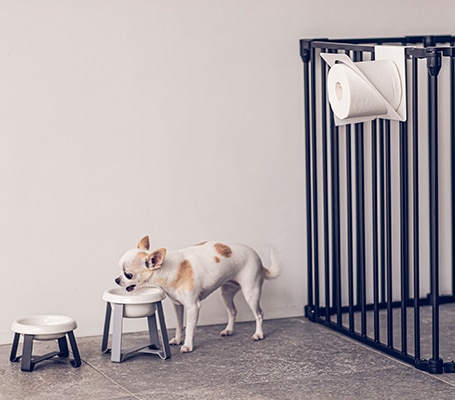 pecolo Paper Holder（ペコロ ペーパーホルダー）