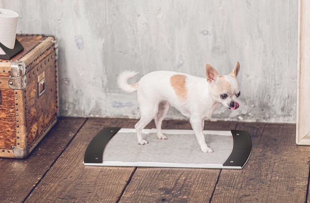 pecolo Toilet Tray（ペコロ トイレットトレイ）