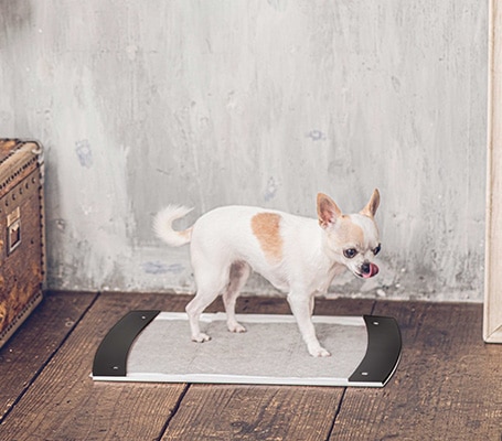 pecolo Toilet Tray（ペコロ トイレットトレイ）｜ペット用品