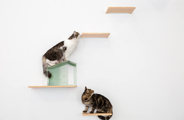 NeconoMa｜ペット用品｜インテリア・家具の通販｜ミラタップ（旧サンワ