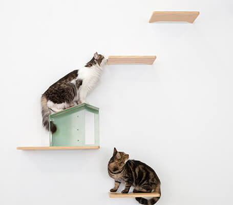 ネコ インテリア img_271320_2.jpg