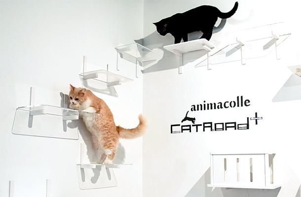 Catroad+（キャットロードプラス）