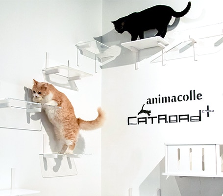 Catroad+（キャットロードプラス）