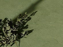 ルーセントカラー