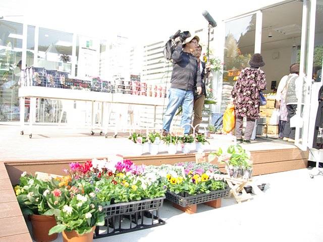 生花やワゴンなどなどがディスプレイされ活気のある商店