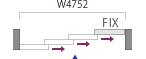 S0152_quadro_02_illust11_fix.gif