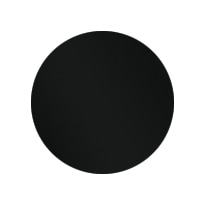 レプト　ブラック