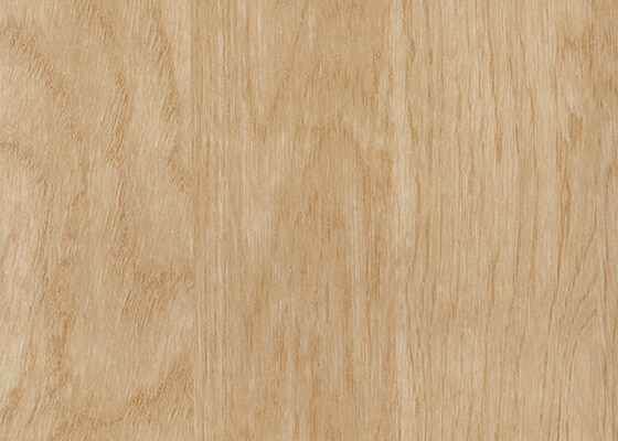 カラーバリエーション画像TCR 3556