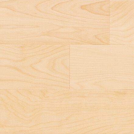 コンビットグラードプラス サクラ(カバノキ)