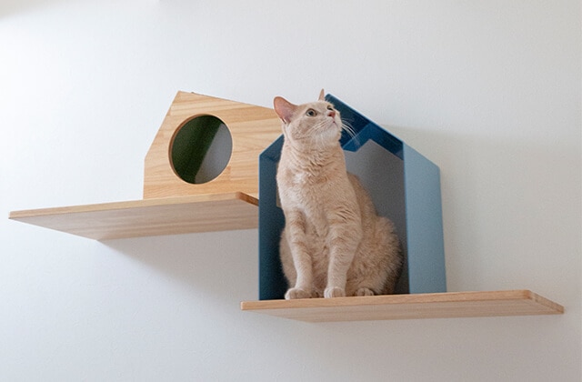 NeconoMa タイプA画像