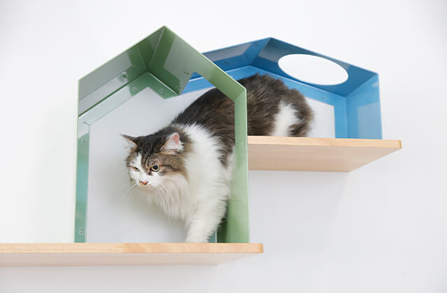 NeconoMa タイプB画像