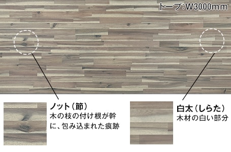 キャラクターマーク_sp
