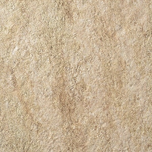 カラー　ベージュ