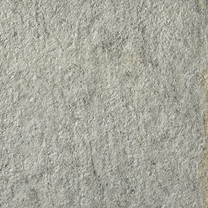 カラー　グレー