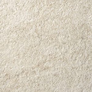 カラー　ホワイト