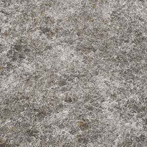 カラー　グリジオ