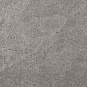 カラー　ピーク