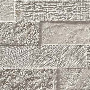 カラー　ホワイト