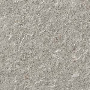 カラー　グレージュ