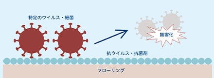 抗ウイルス・抗菌機能のメカニズム