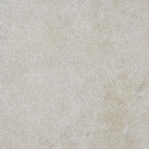 カラー　オストゥーニ