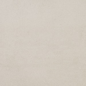 カラー　スノー