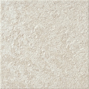 カラー　ホワイト