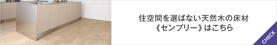 S1304_センプリーはこちら